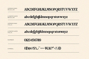 TBJ Buffy - Light & Italic Serif