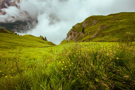 landscape with meadow and fog, a Nature Photo by Alliance Images
