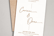 Celestine Script, a Script Font by Prestige Artsy Studio (Thumbnail 4 of 11)