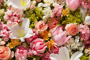 Lush floral background showing a dense mix of pink roses, white, a Photo by Studio ANNA