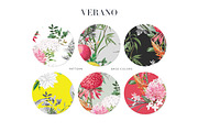 Verano, Summer Patterns & Motifs, a Pattern Graphic by Pink Linen (Thumbnail 2 of 9)