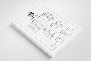 Professional Resume Design