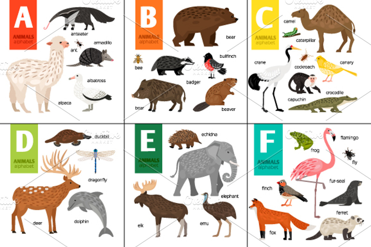 Alphabet with Animals, an Object Graphic by ianakauri (Photo 1 of 4)