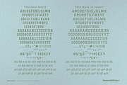 Field House – A Rustic Athletic Font, a Font by Komet & Flicker (Thumbnail 15 of 15)