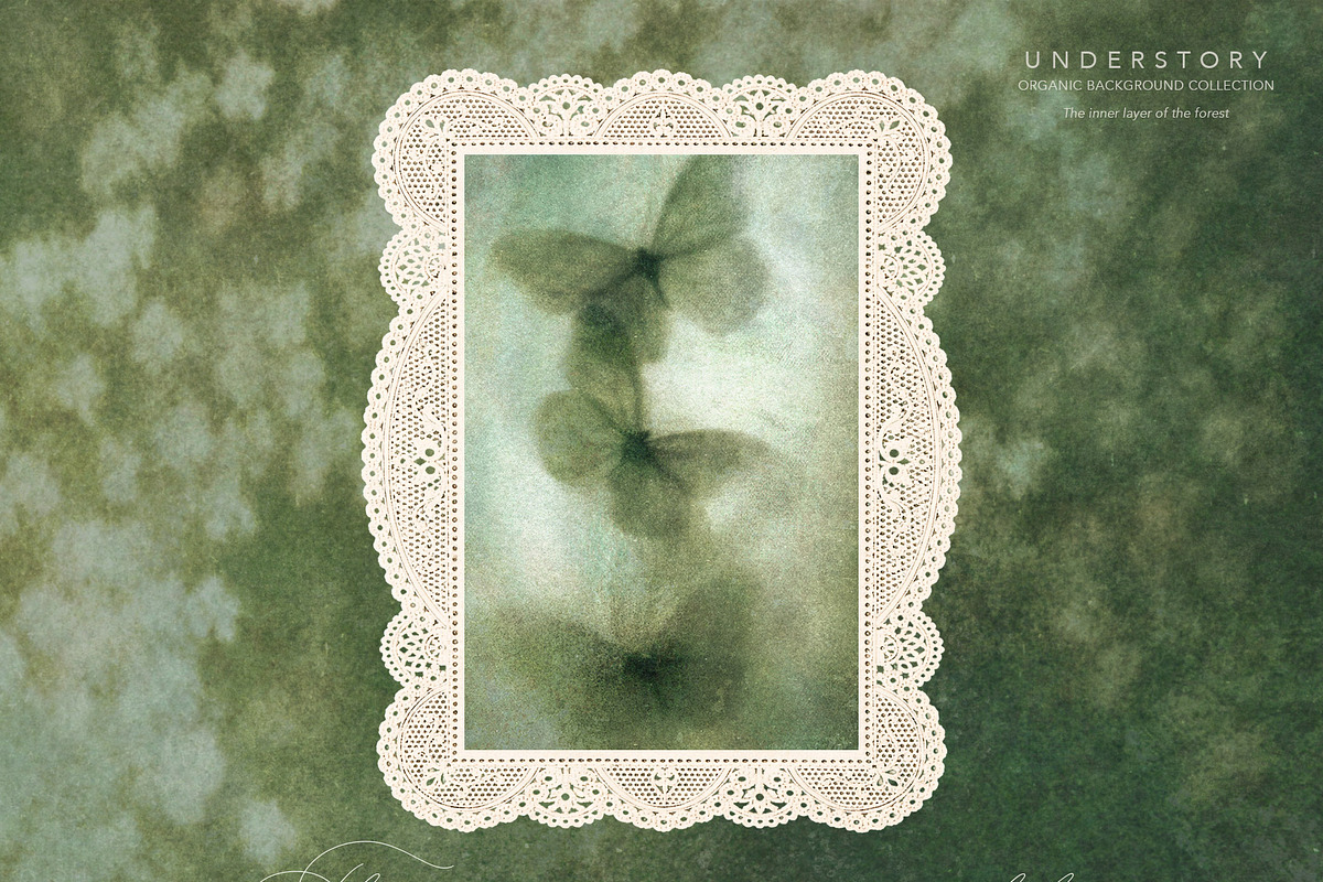 Understory Organic Backgrounds, a Background Graphic by alonahaidash (Photo 7 of 15)