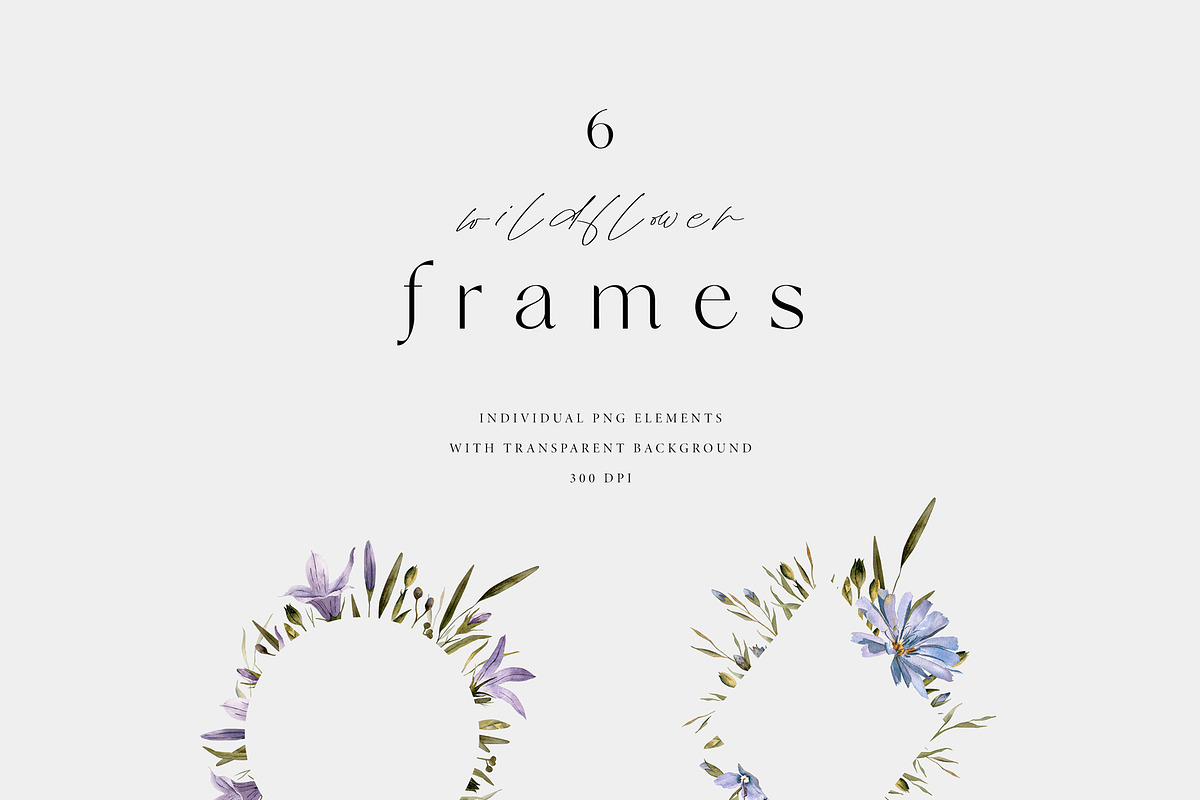 Meadow Mood. Wildflower collection, an Illustration by Diana Askarova Art (Photo 3 of 9)
