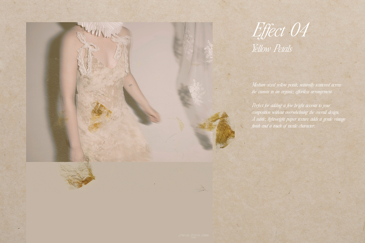 Pressed Flower Paper Effects, a Layer Style Add-On by Kaleriia (Photo 8 of 21)