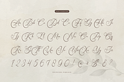 Karleysa | Modern Calligraphy, a Script Font by Denustudios (Thumbnail 10 of 12)