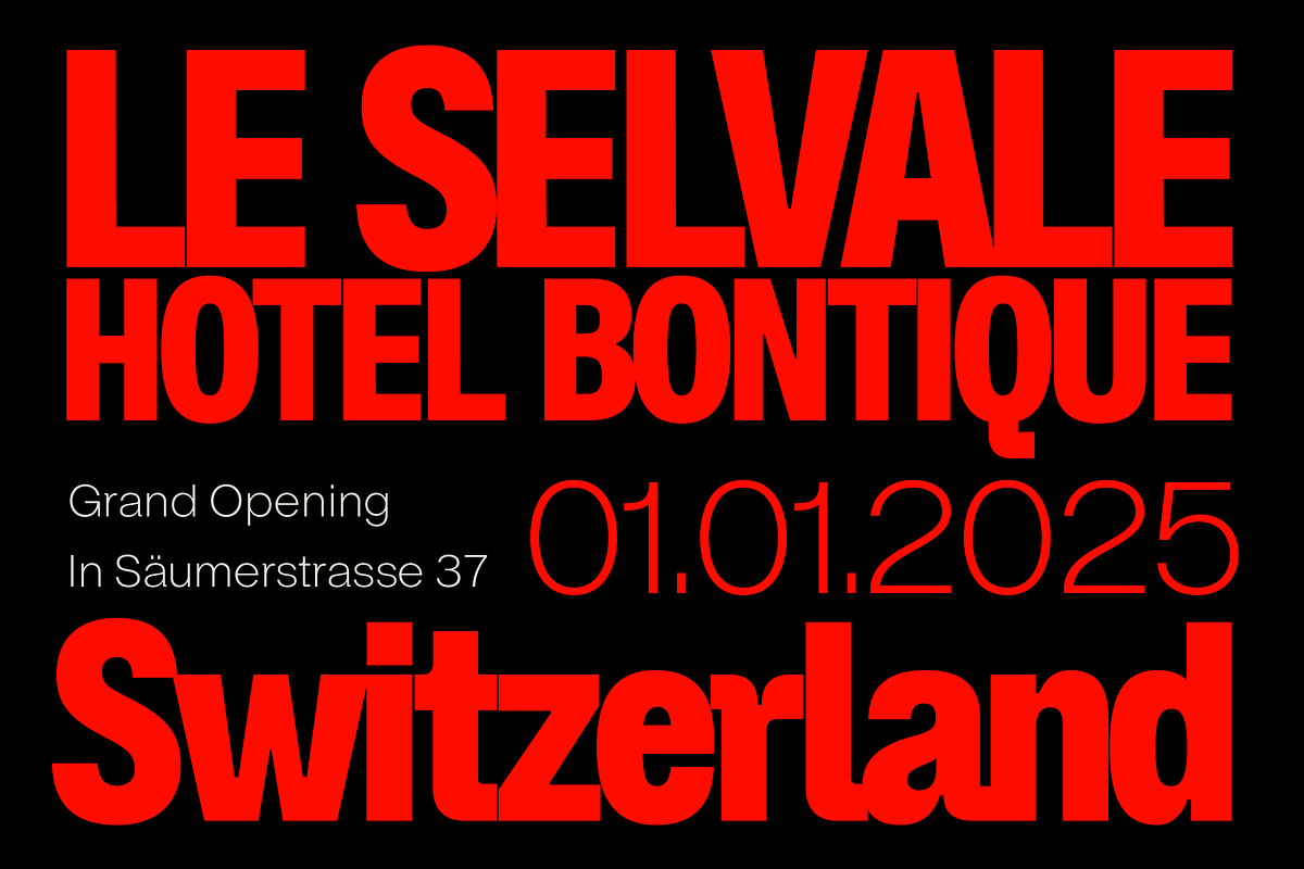 ZT Hoky Geometric - 54 Fonts, a Sans Serif Font by zelow type (Photo 2 of 15)
