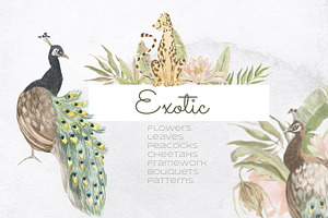 Exotic. Watercolor Set