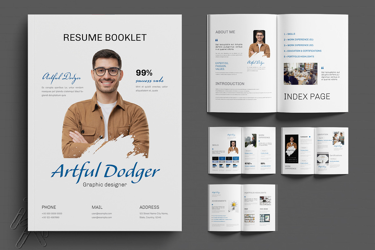 Professional CV Portfolio Layout