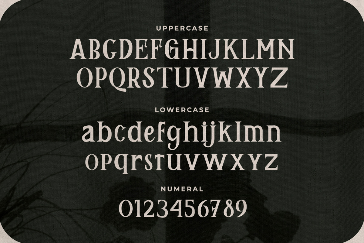Remily - A Classy Serif Font, a Serif Font by Typefactoryco (Photo 2 of 10)