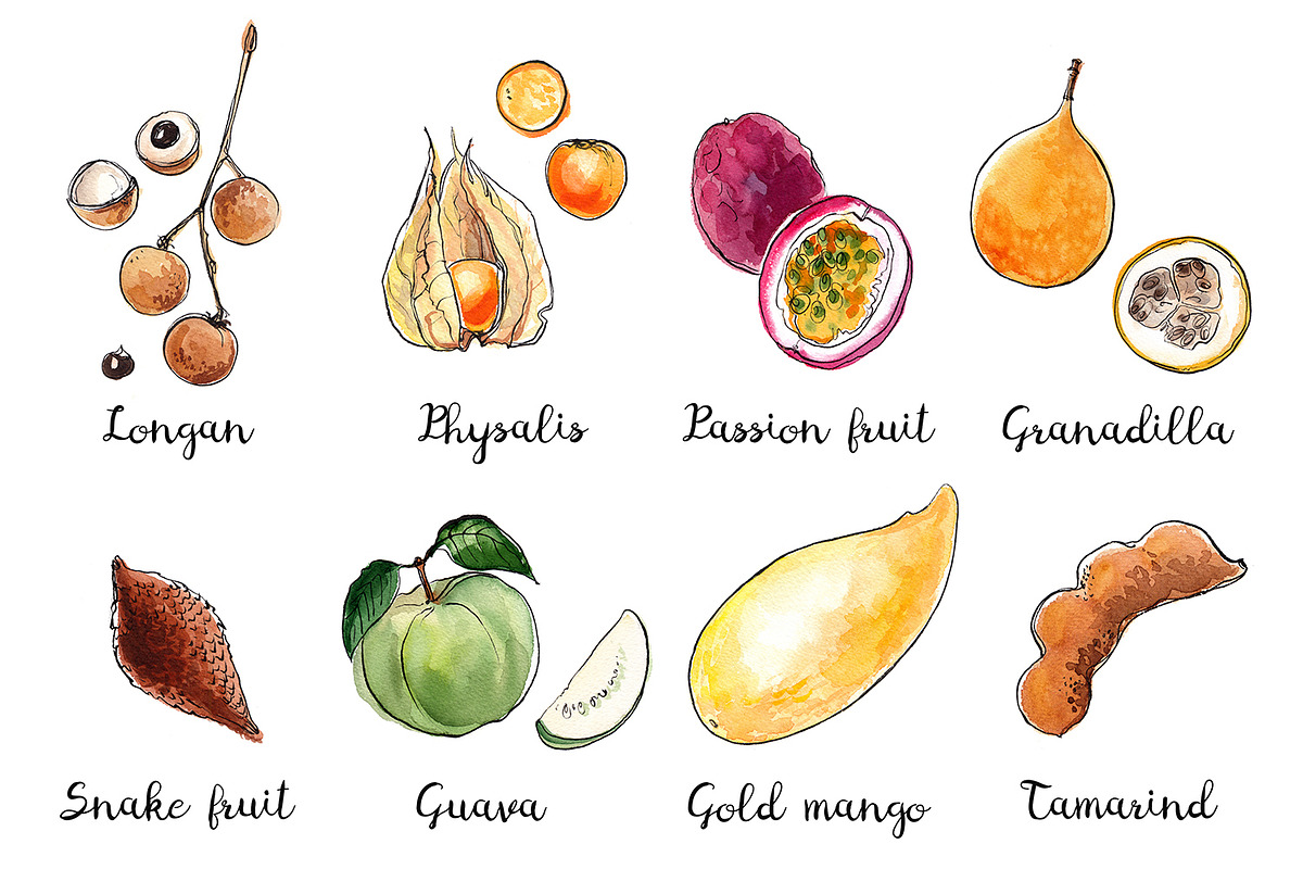 Food watercolor. Fruits and berries, a Food Illustration by irina.vaneeva (Photo 7 of 10)