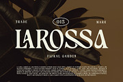 Gilgans Classic Serif Typeface, a Serif Font by Violet Natural (Thumbnail 2 of 8)