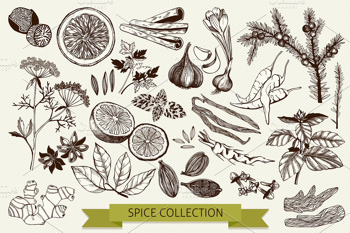 Ink Hand Drawn Spice Collection preview 2