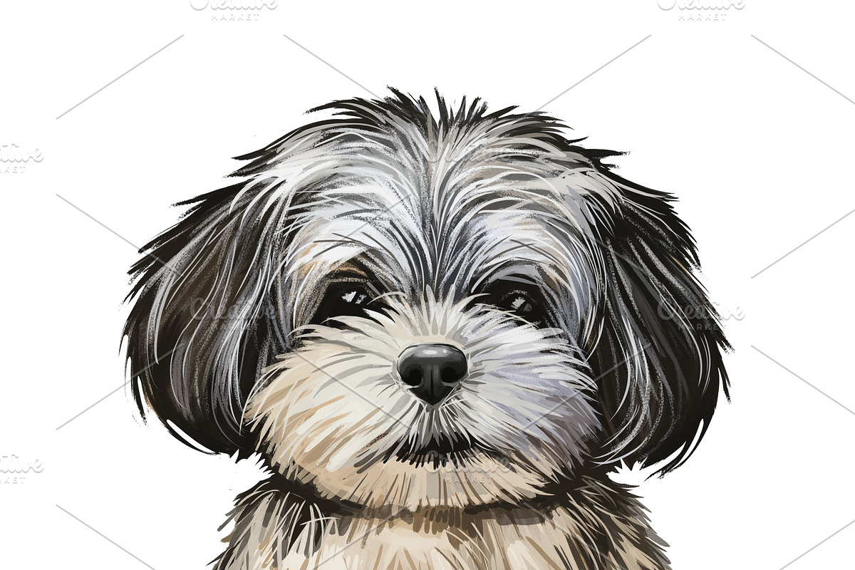 Poodle Cross Breeds 27 Dogs/Puppies, an Animal Illustration by Dneprstock (Photo 15 of 27)