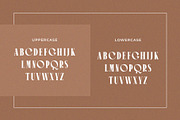 Jaoren Elegant Serif Font Typeface, a Serif Font by Perfectype (Thumbnail 9 of 10)