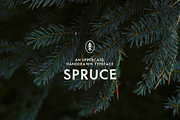 SPRUCE UPPERCASE TYPEFACE, a Handwritten Font by Caroline Holm Design (Thumbnail 1 of 4)