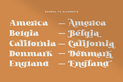 Bastro - Retro Bold Fonts, a Serif Font by HansCo Studio (Thumbnail 7 of 14)