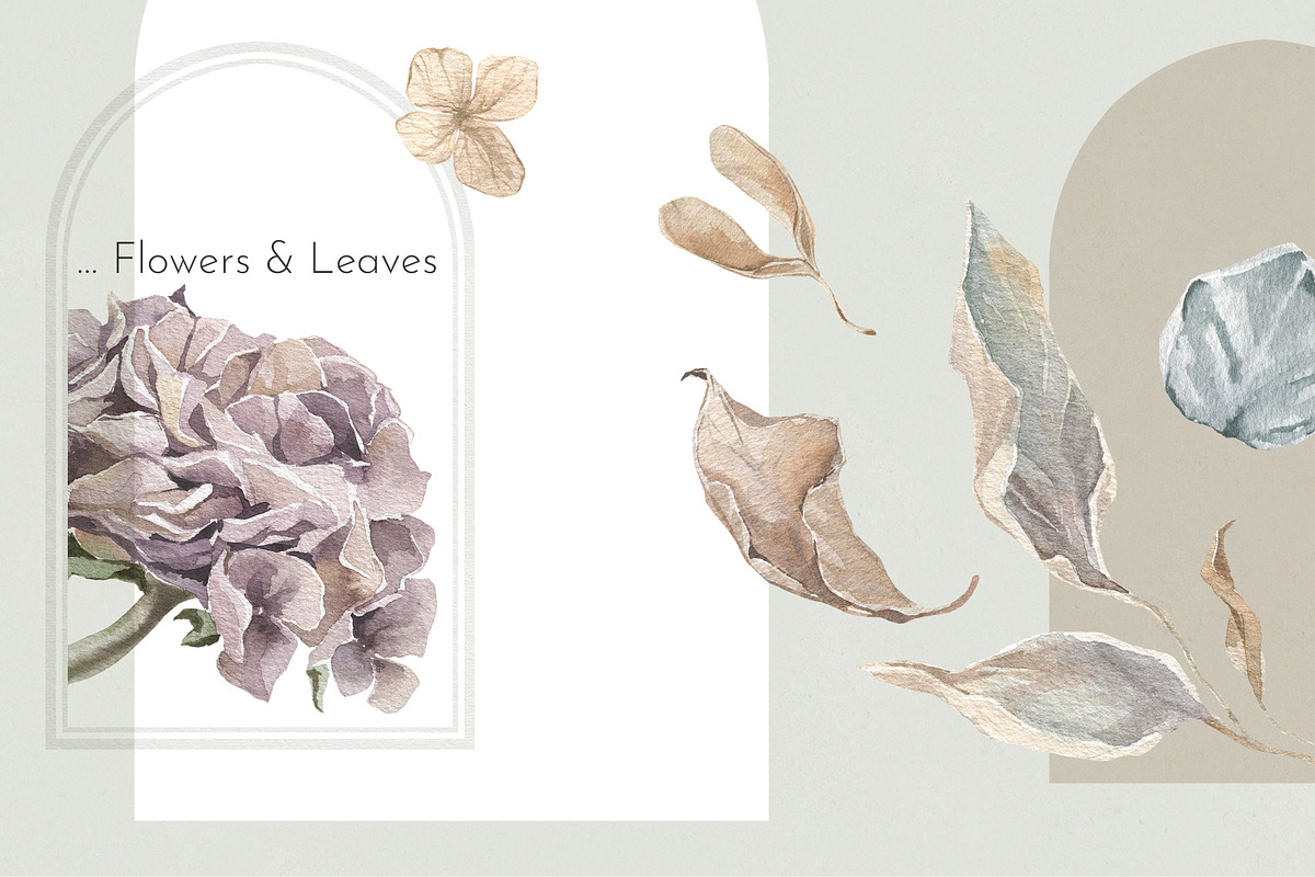 Autumn Harvest Watercolor Collection, a Food Illustration by Cat In Colour (Photo 7 of 8)