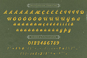 Ebullience font, a Script Font by Allmostudio (Thumbnail 8 of 10)