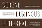 Gate - Modern Serif Font, a Serif Font by Luna Shop (Thumbnail 6 of 6)