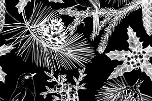 Conifer Trees Set. Black & White.