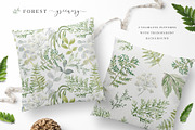 Forest greenery. Vector collection, an Object Illustration by OJardin (Thumbnail 6 of 7)