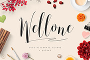 Huge Font Bundle • 98% off, a Script Font by vuuuds (Thumbnail 45 of 75)