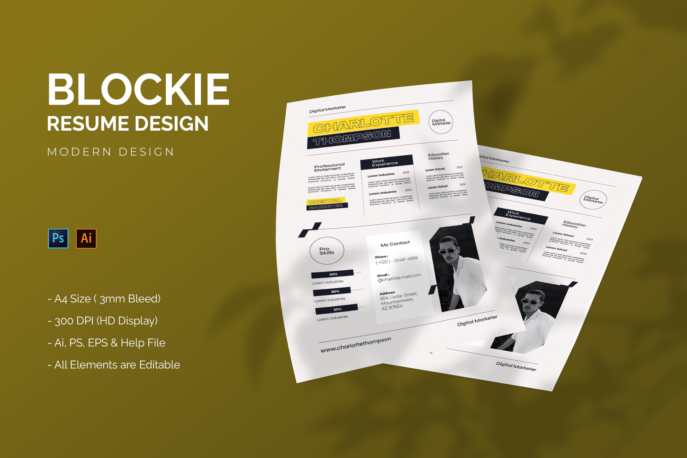 Blockie - Resume Template, a Resume Template by StreaksideStd
