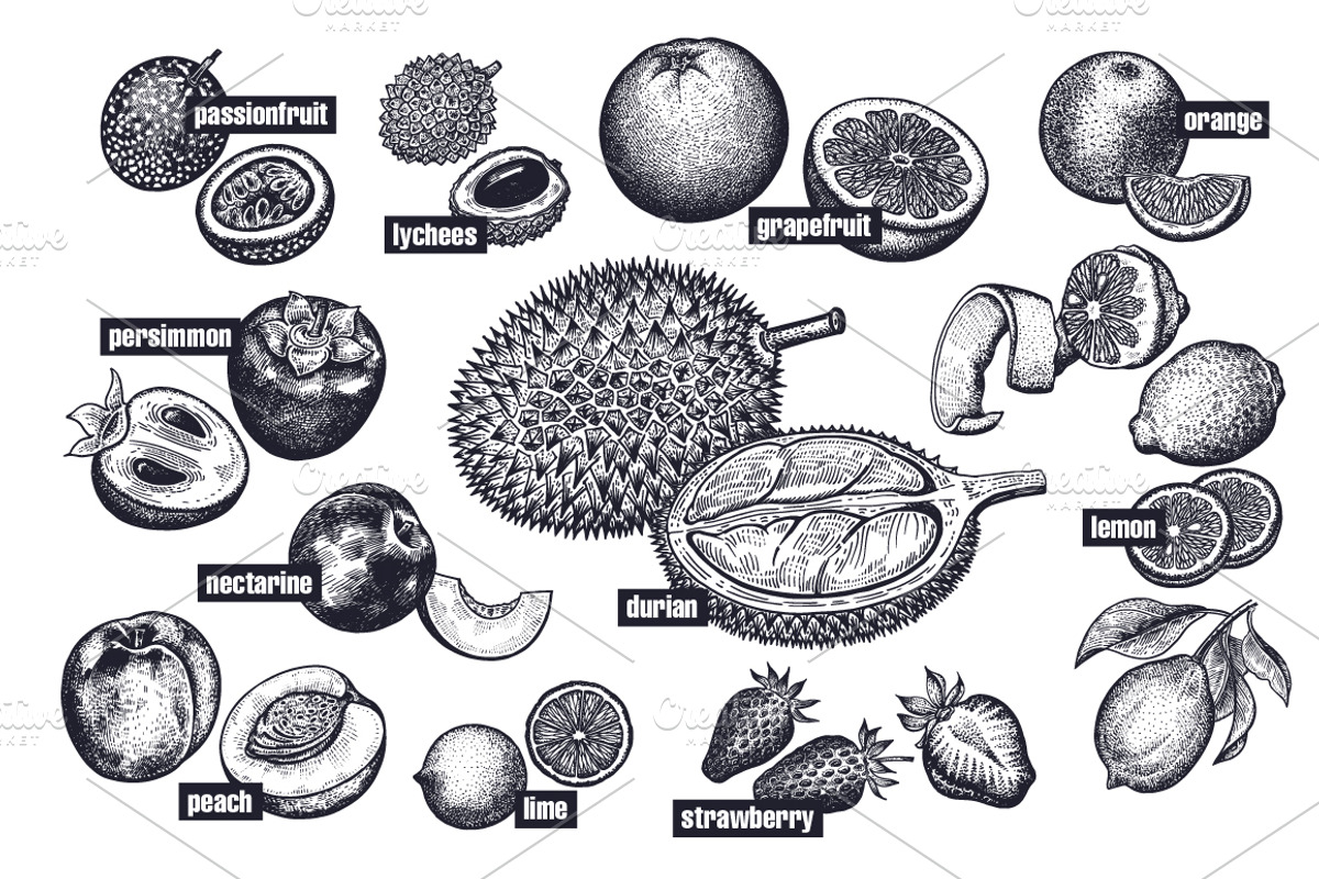 Fruits and berries. Big set., an Object Graphic by MarinaVorontsova (Photo 6 of 8)