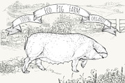 Eco pig farm, an Object Graphic by ArtOwl (Thumbnail 6 of 7)