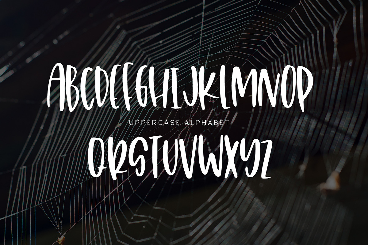 Freaky Fantastic preview 3