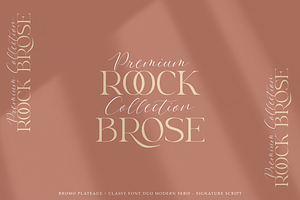 Bromo Plateau - Classy Font Duo