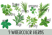Watercolor Herb Set with text, an Illustration by DailyMiracleDigitals,LLC (Thumbnail 1 of 5)