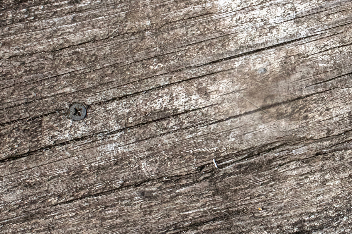 Natural wood texture patterns, a Background Photo by Schreibikus (Photo 2 of 8)