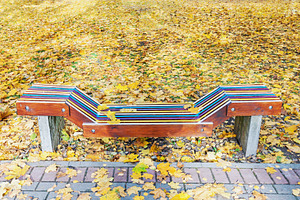 Wooden bench in park in fall, a Nature Photo by BOOCYS