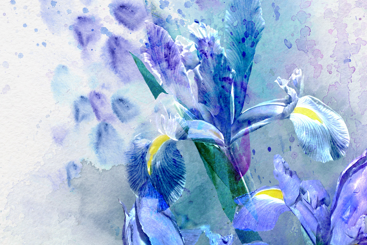 10 Floral watercolor posters, a Decorative Illustration by Anna Guz's Store (Photo 8 of 12)
