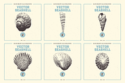 VECTOR SEASHELL HAND DRAWN BUNDLE 22, an Illustration by pawellpi (Thumbnail 6 of 10)