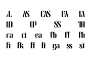Cas Calisaya Elegant Font, a Serif Font by Casloop Studio (Thumbnail 7 of 15)