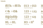 Calanda, a Slab Serif Font by Hoftype (Thumbnail 23 of 26)