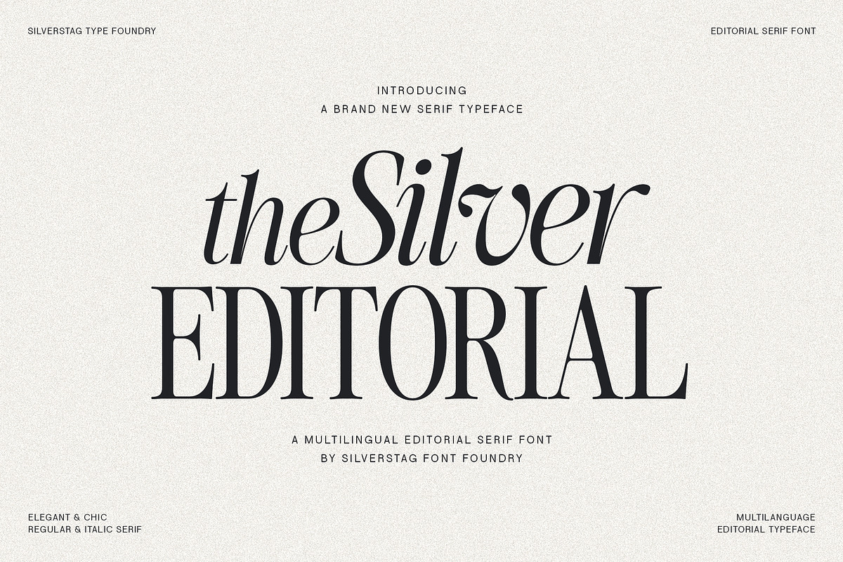 The Silver Editorial Serif Font, a Serif Font by SilverStag Type Foundry (Photo 1 of 25)