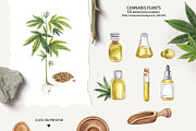 CANNABIS / MARIJUANA BUNDLE, a Decorative Illustration by Elena_Sedova (Thumbnail 4 of 30)