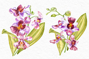Orchids branch in botanical style, a Decorative Illustration by Ann Astro (Thumbnail 12 of 15)
