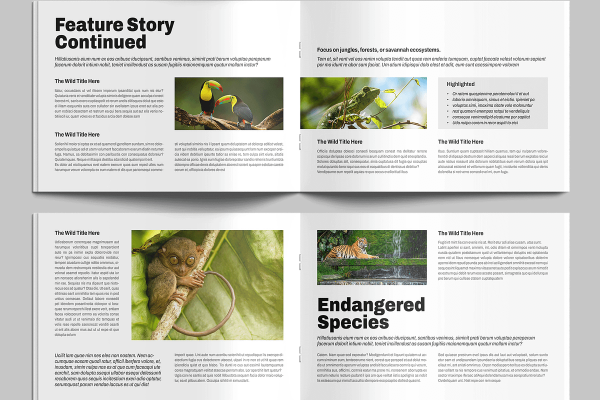 Wildlife Photography Magazine, a Magazine Template by MightyDesign (Photo 4 of 9)