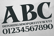 Aosta - Serif Display Font, a Serif Font by overlaytemplates (Thumbnail 4 of 5)