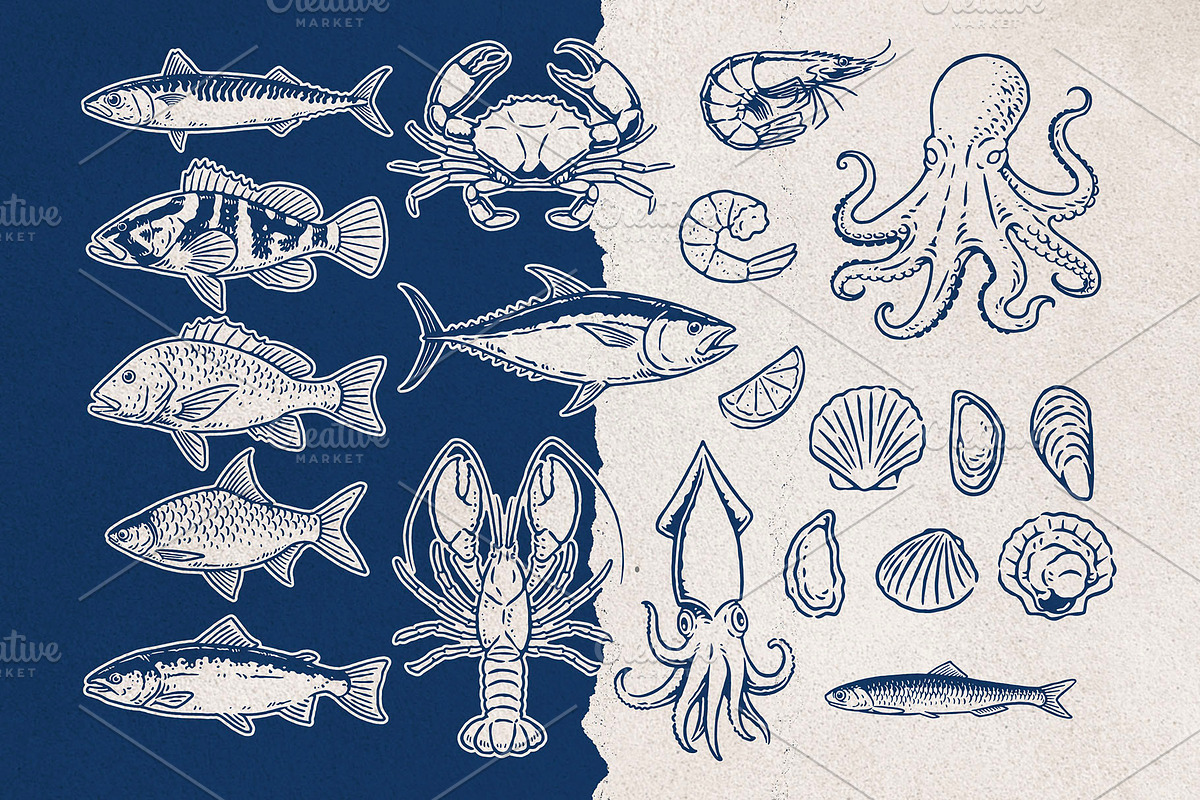 Seafood Illustrations Patterns, an Animal Illustration by Trape Graphic Studio (Photo 2 of 4)