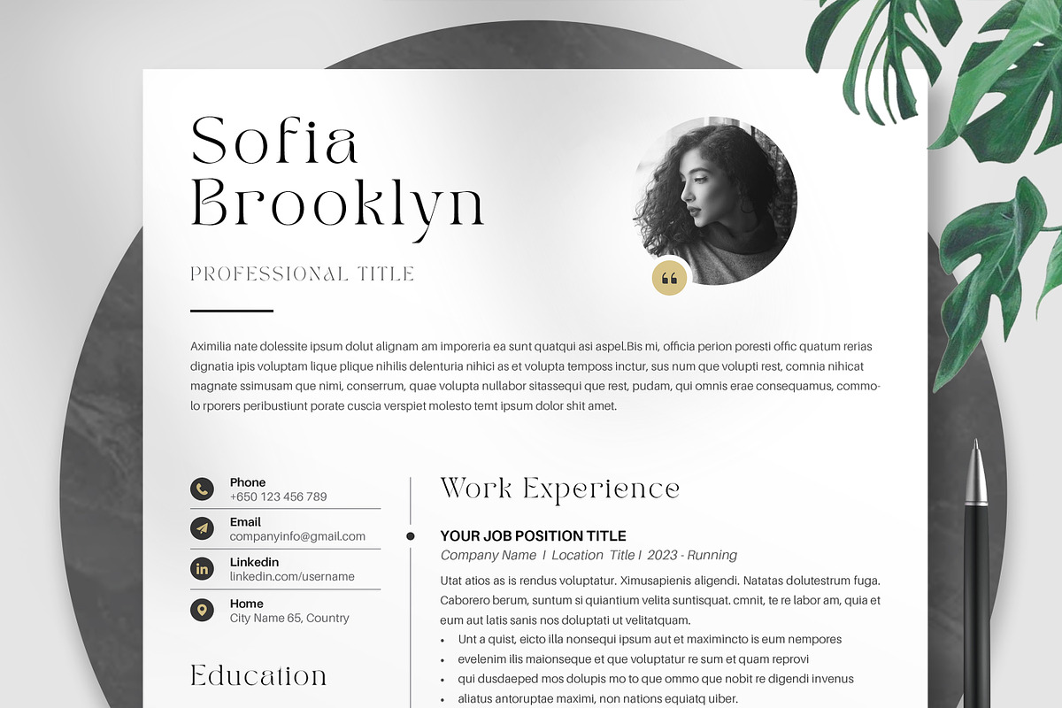 Resume Template, ATS Resume, Canva, a Resume Template by Niofix (Photo 1 of 7)
