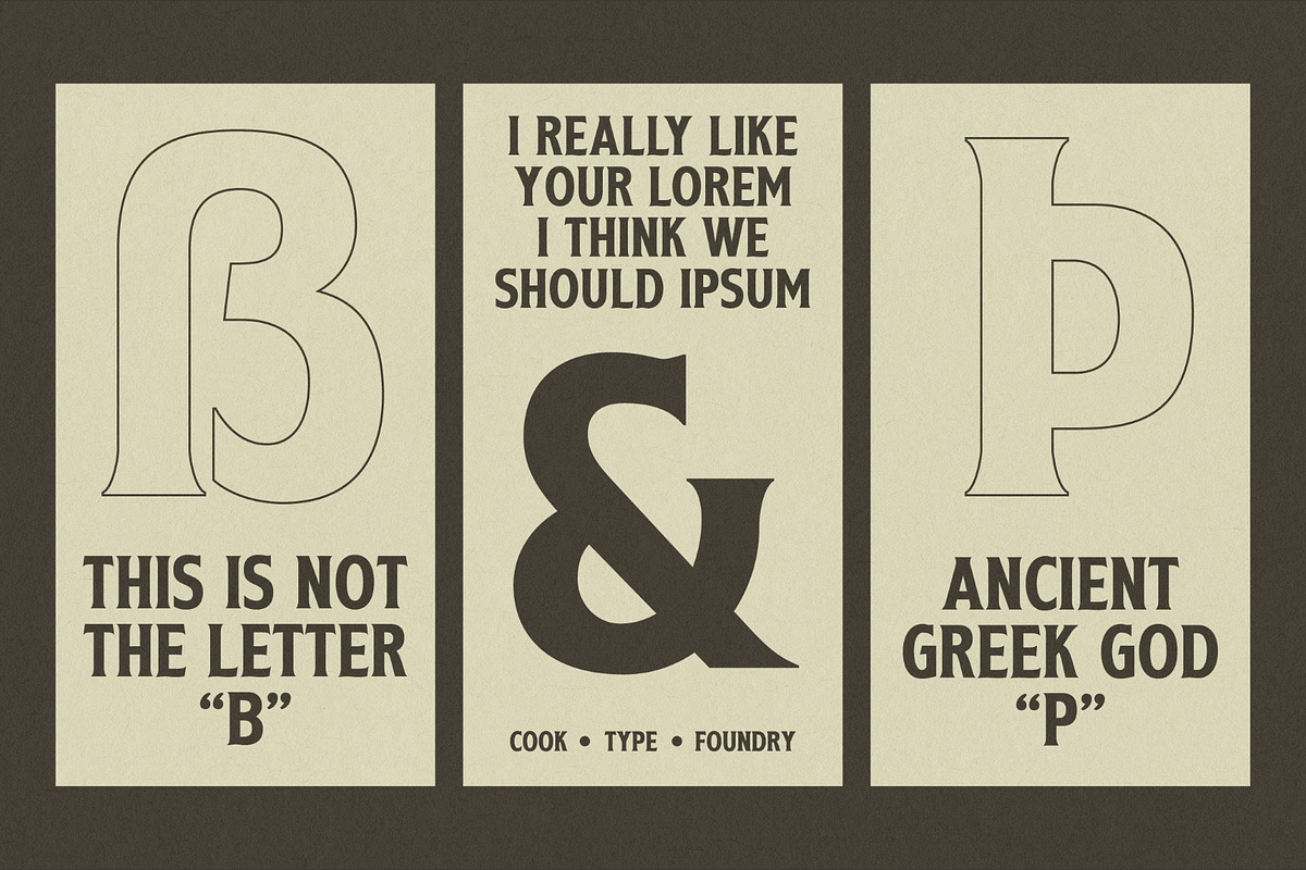 Virevont, a Serif Font by graphicook (Photo 7 of 10)
