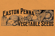 Easton Sans & Serif, a Sans Serif Font by the Red Rocket Rebellion (Thumbnail 7 of 7)